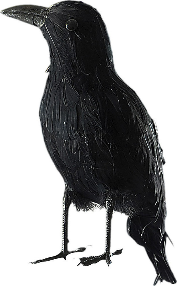 Decoratiune Cioara, #1, Carnaval24