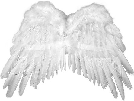 Pereche Aripi Inger Albe 53x37cm, #1, Carnaval24