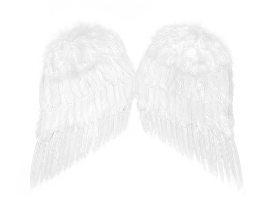 Pereche Aripi Inger Albe 55x45cm, #1, Carnaval24