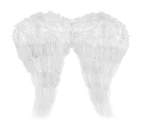 Pereche Aripi Inger Albe 52x45cm, #1, Carnaval24