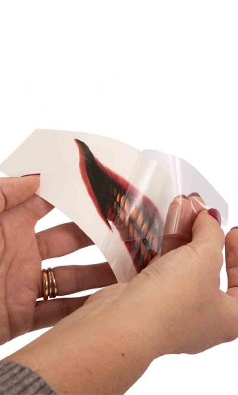 Tatuaj Adulti Temporar Dinti Psihopat, Multicolor, #1, Carnaval24