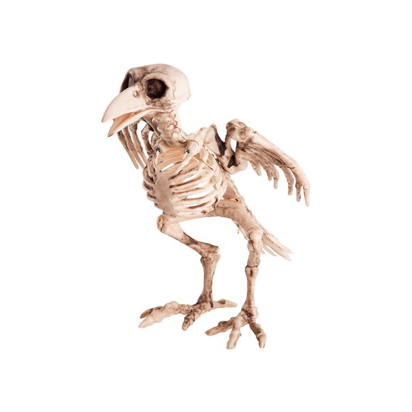 Decoratiune cioara schelet 22 cm, crem, #1, Carnaval24