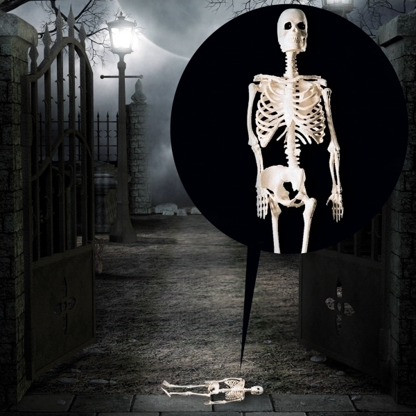 Schelet decorativ Halloween 30 cm, Alb, #1, Carnaval24