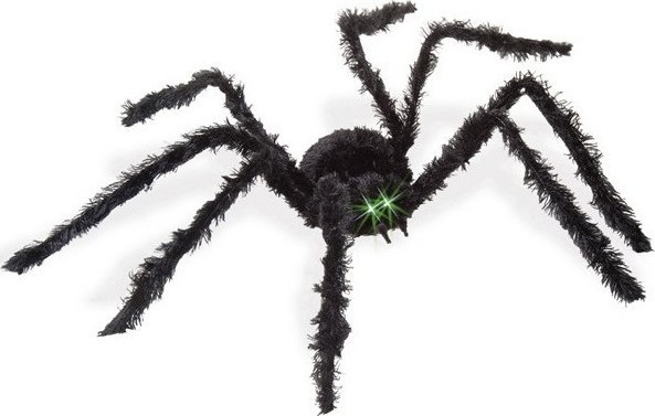 Paianjen Urias Cu Sunet Si Miscare, #1, Carnaval24