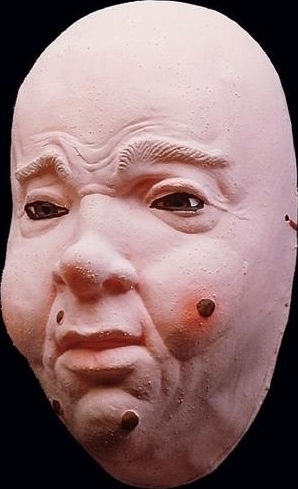 Masca Vrajitor cu bube, #2, Carnaval24