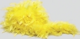 Boa galben, #1, Carnaval24