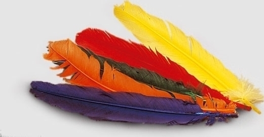 Pana Colorata Realista, Multicolor, #1, Carnaval24