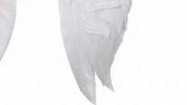 Mini aripi de inger 16x16 cm, #1, Carnaval24