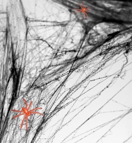 Panza de Paianjen realista 60g, Negru, #1, Carnaval24