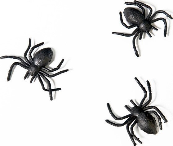 10 Paianjeni din plastic Negri, #1, Carnaval24