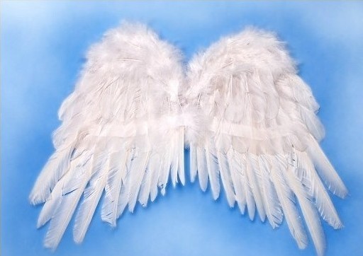 Pereche Aripi Inger Albe 53x37cm, #2, Carnaval24