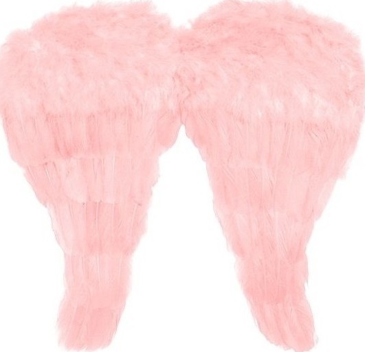 Aripi inger roz 52 x 45cm, #1, Carnaval24