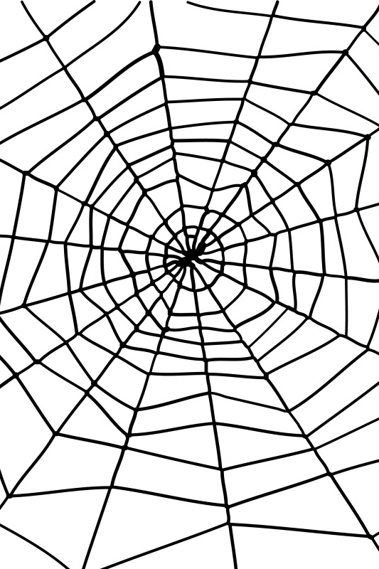 Panza de Paianjen 1.5m, Negru, #1, Carnaval24