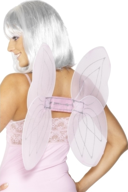 Aripi Fluturas Roz Plasa, #1, Carnaval24