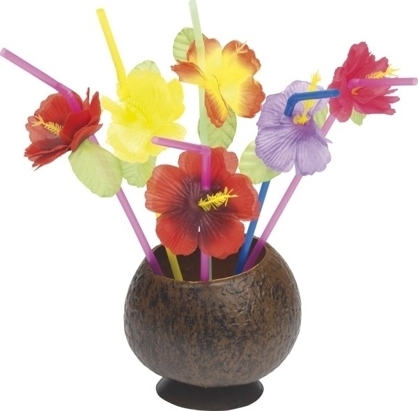 Paie pentru bautura Hawaii, #1, Carnaval24