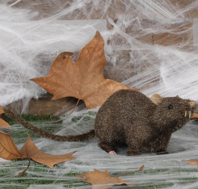 Decoratiune Sobolan Gigant Maro, #1, Carnaval24